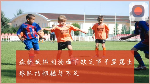 森林狼热闹场面下缺乏华子显露出球队的粗糙与不足