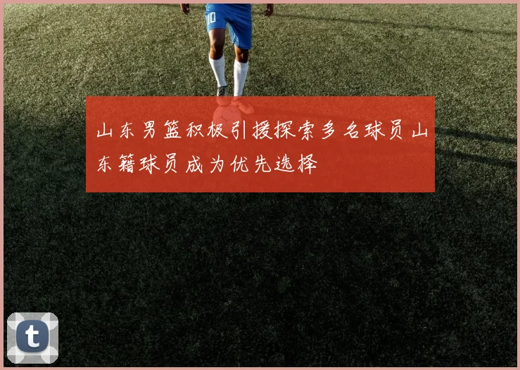 山东男篮积极引援探索多名球员山东籍球员成为优先选择