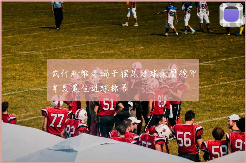 武什科维奇蝎子摆尾进球荣膺德甲年度最佳进球称号